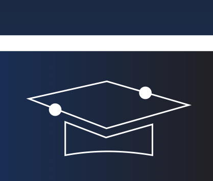 VNCHIP Interns Program Icon
